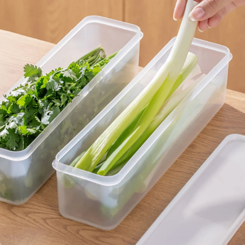 boîtes conservation légumes transparentes moderne poignées réfrigérateur organisation alimentaire PVC pratiques