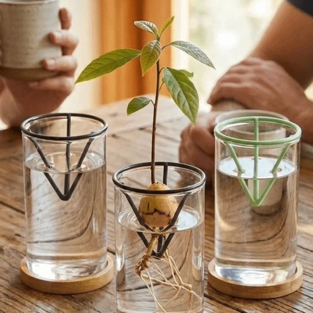 supports plantes verre transparent noirs verts triangles modernes base bois fixations adhésives minimalistes jardinage