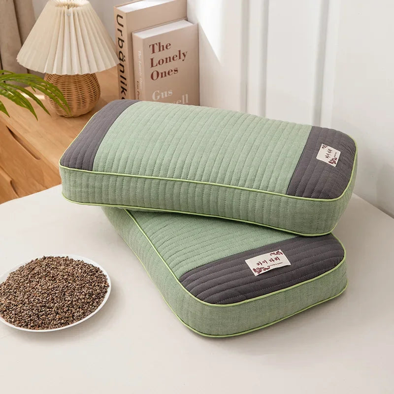 oreiller bleu rose gris vert rayures moderne coton bio hypoallergénique oblong catégorie
