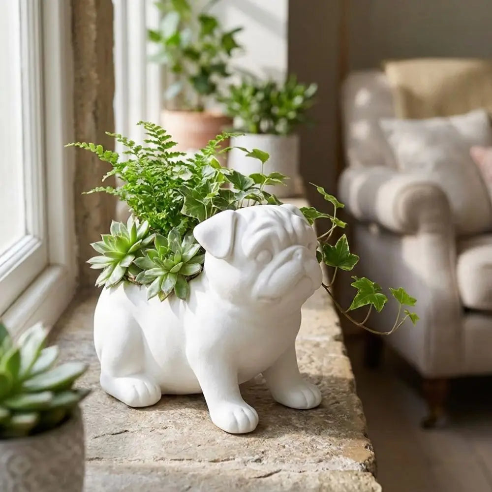 pots fleurs forme chien noir blanc marron texture mat moderne succulentes decoration intérieure