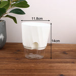 pots plantes transparents moderne minimaliste blanc rose gris rayures diagonales matériau plastique absorption d'eau