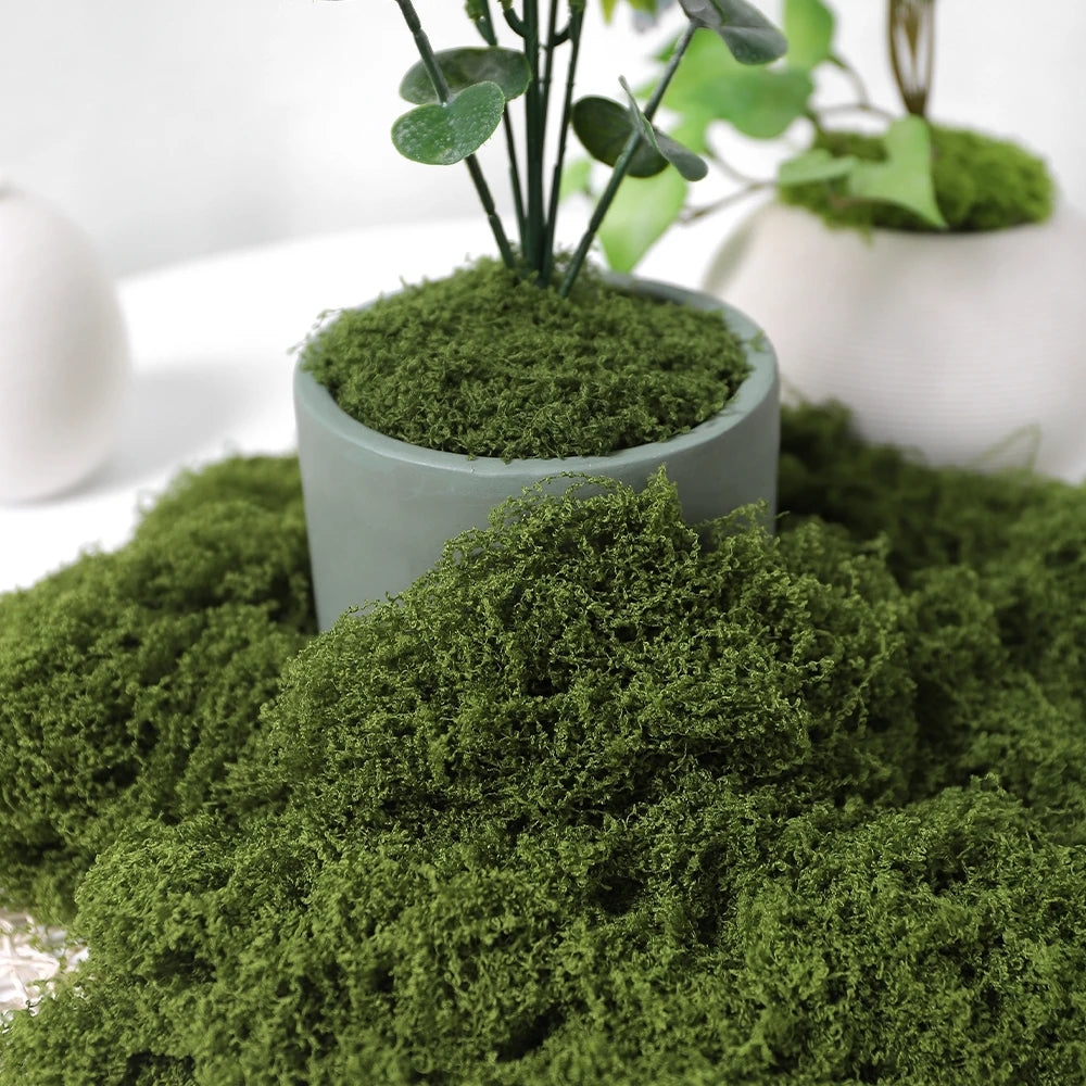 plantes artificielles mousse verte pot fleurs moderne minimaliste vert clair gris lignes verticales exposition