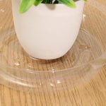 plateau drainage fleurs transparent rond gravé moderne rangement déchets maison jardin