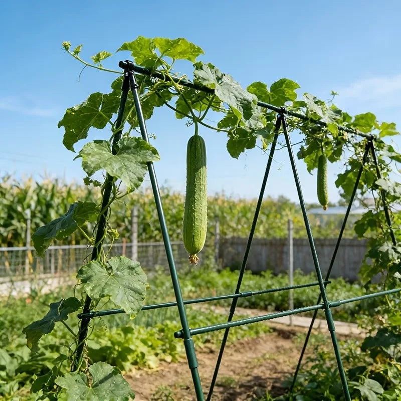 support plante grimpante métal vert structure triangulaire jardinage utilitaire fixations liens noirs croissance concombre