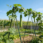 support plante grimpante métal vert structure triangulaire jardinage utilitaire fixations liens noirs croissance concombre