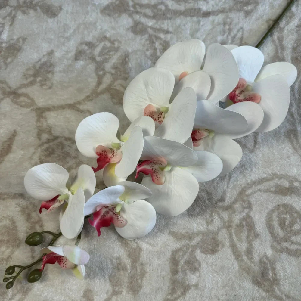 décoration intérieure orchidées artificielles violettes blanches roses bleues jaunes oranges modernes minimalistes