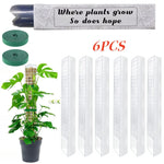 poteau mousse transparent moderne grille support plantes intérieures croissance tutoriel mousse