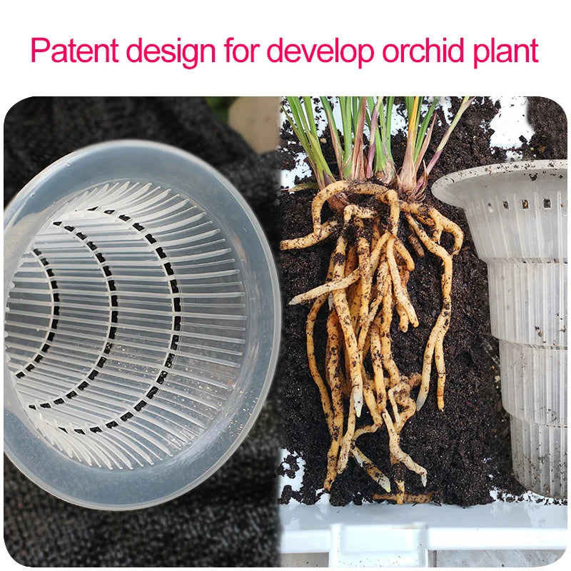 pots orchidées noir moderne adhésif racines controle fleur plante verte 13cm 15cm 18cm