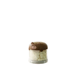 boîtes rangement aliments animaux compagnie moderne visage mignon couleur beige vert jaune étanches humidité