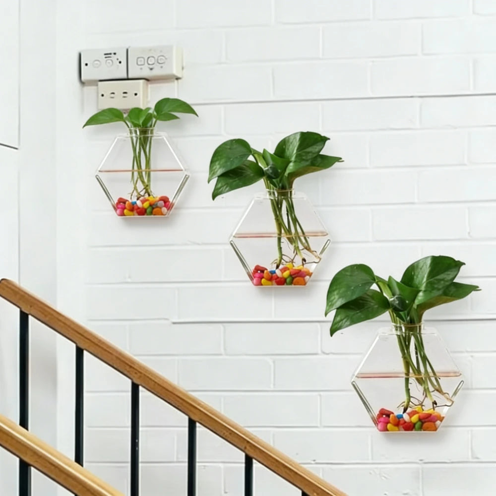 terrariums muraux verre transparent cuivre modernes petits milieux grands clips fixations plantes galets