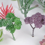 plantes succulentes artificielles décoratives modernes feuilles colorées intérieur extérieur exposé bricolage accessoire jardin réaliste
