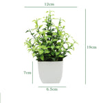 décoration intérieure plante artificielle eucalyptus bonsaï vert feuilles fines moderne sans entretien pot blanc