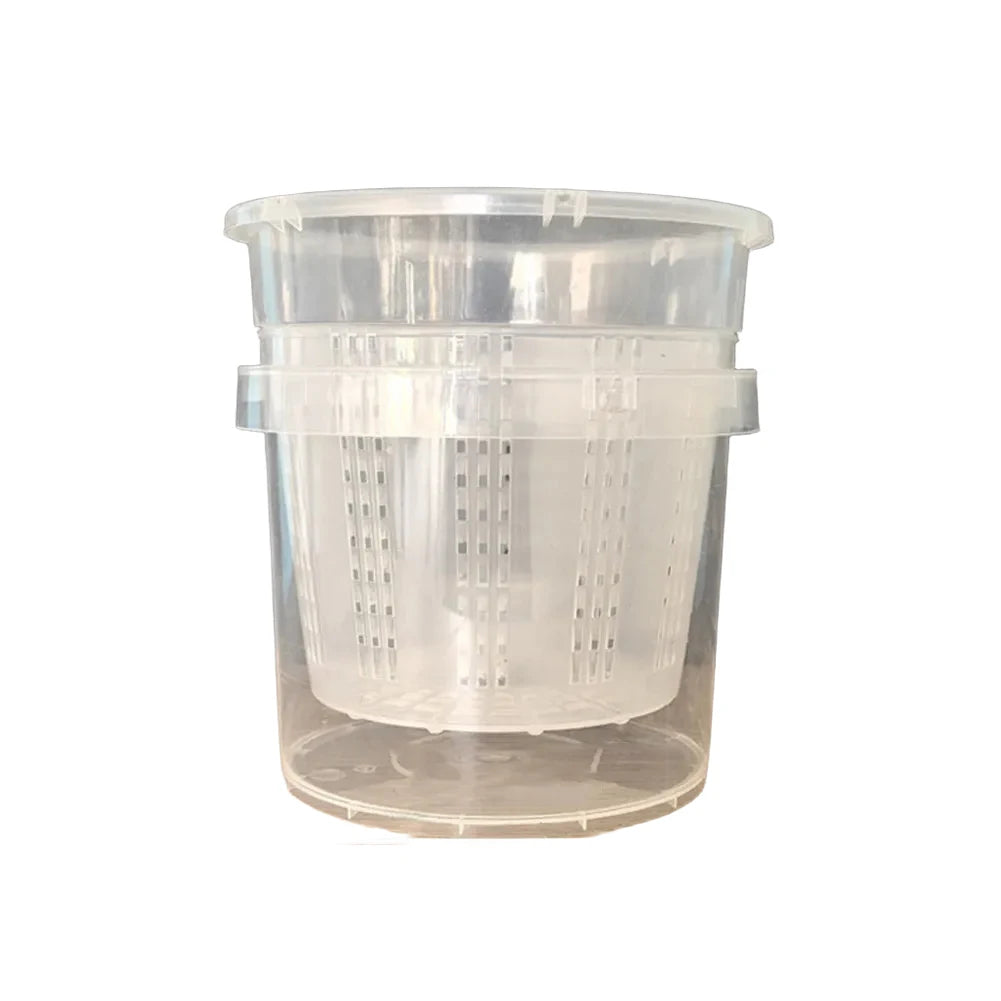 pots plante transparents plastique moderne grille drainage auto arrosage