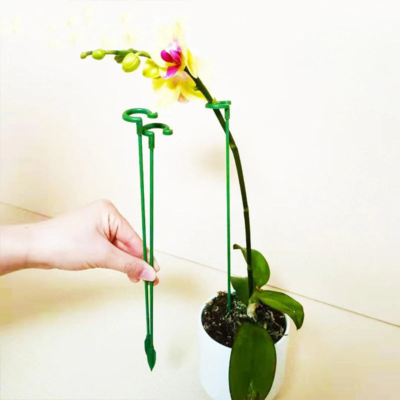 tiges soutien plantes vertes clips anti lodging moderne pot fleurs réutilisables 17cm 27cm 37cm