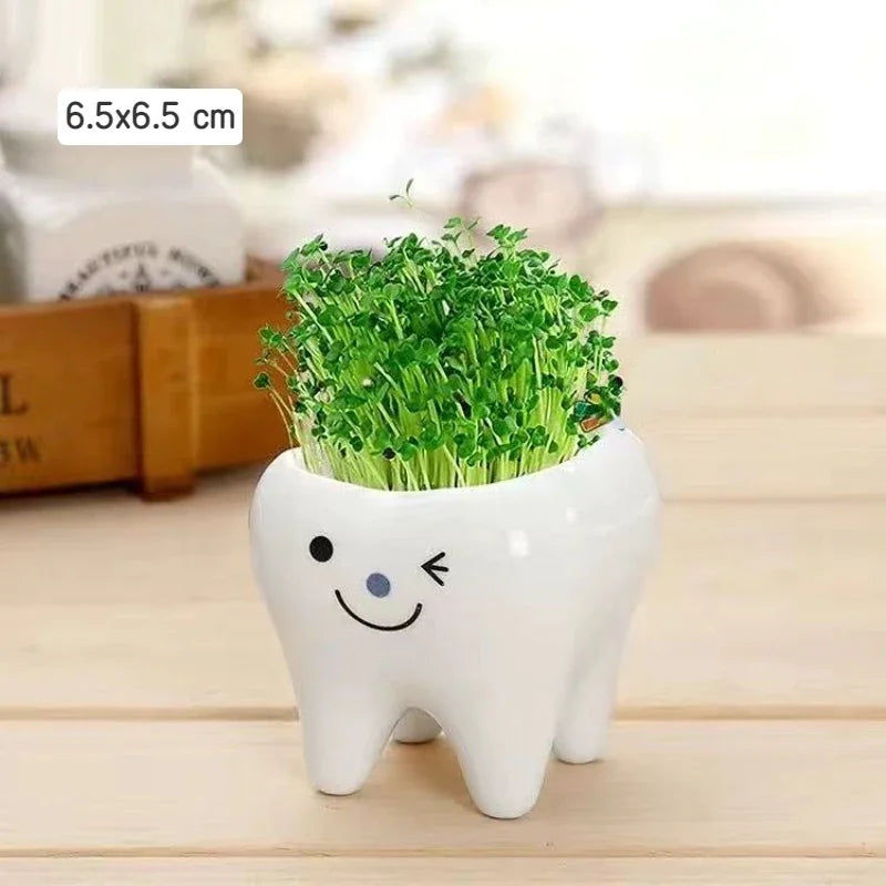 pots céramique porcelaine forme dents plante verte expression faciale decoration mignonne originale