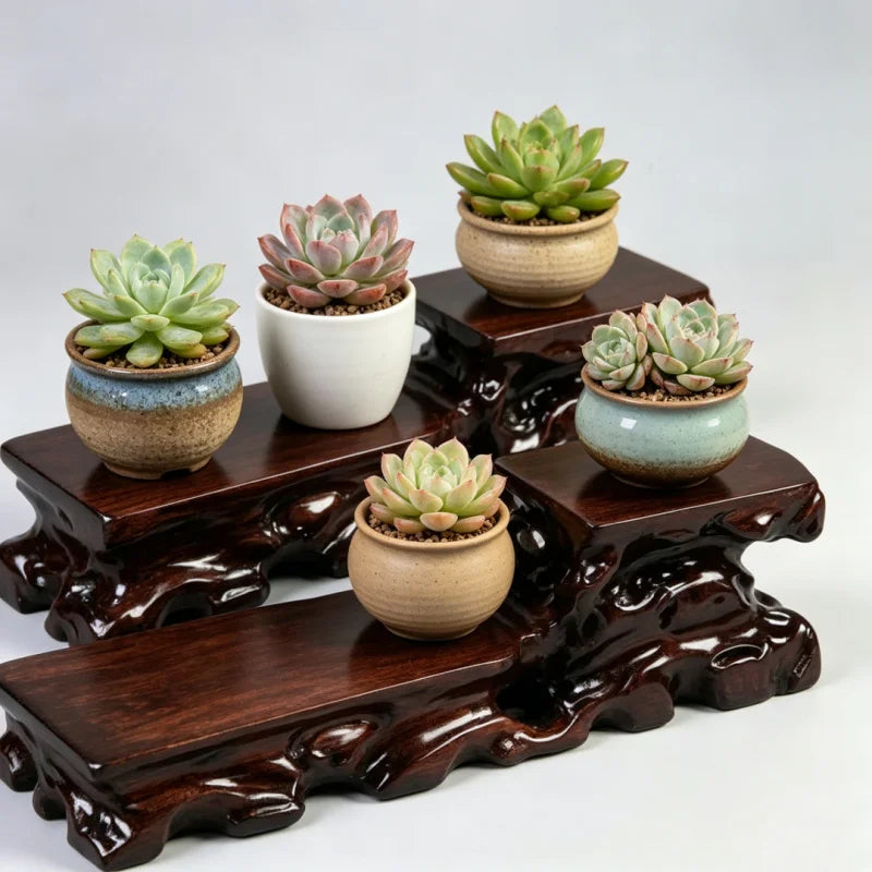 support plantes succulentes bois sculpté marron artisanal 42cm longueur 11cm hauteur 9cm largeur