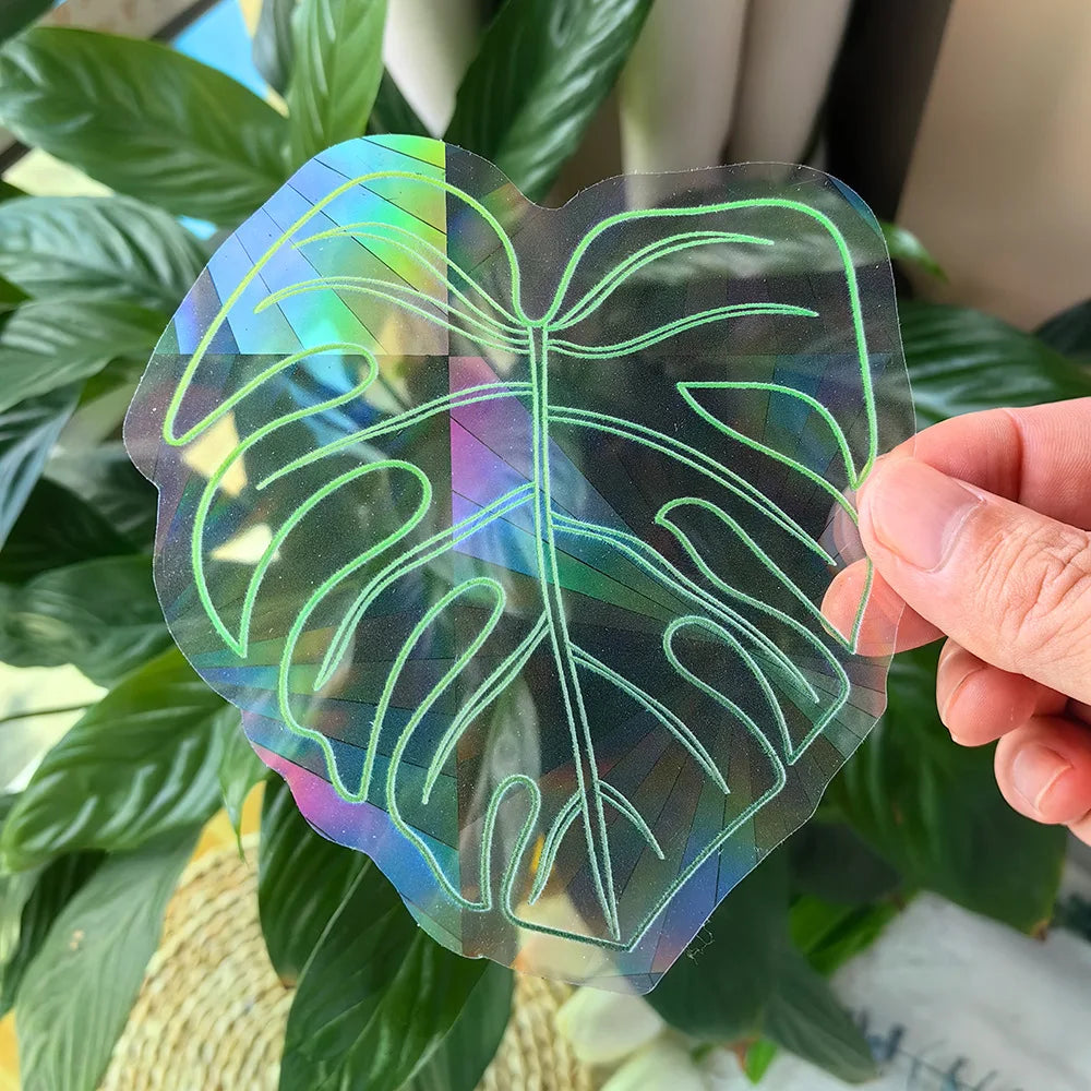 étiquettes solaires holographiques transparentes motifs planètes chats soleils modernes adhésives blanches minimalistes