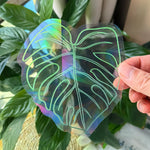 étiquettes solaires holographiques transparentes motifs planètes chats soleils modernes adhésives blanches minimalistes
