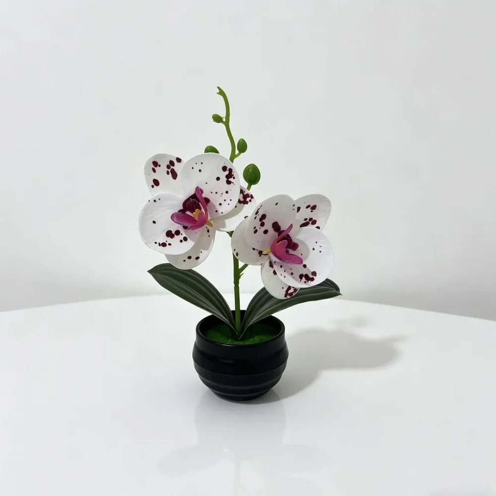 décoration intérieure orchidées artificielles violettes blanches vertes moderne pot noir