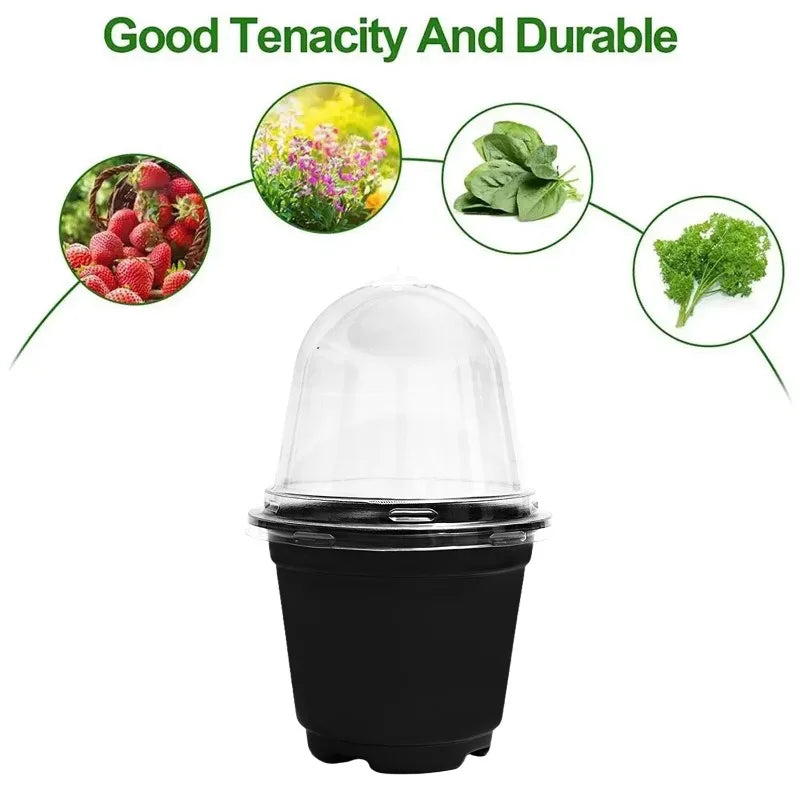 pots semis transparents modernes noir 3.5 inch 12pc jardinage fleurs plantation
