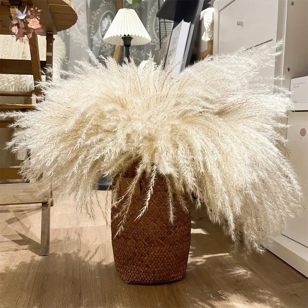 décoration maison plante séchée bouquet pampa séchée naturelle queue lapin boho anniversaire mariage