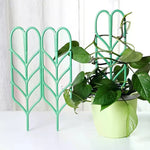 supports plante grimpante treillis feuilles vintage pots verts tiges fixantes aménagement serre