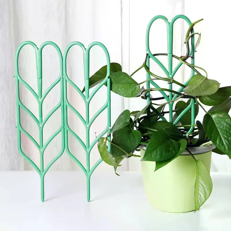 supports plante grimpante treillis feuilles vintage pots verts tiges fixantes aménagement serre