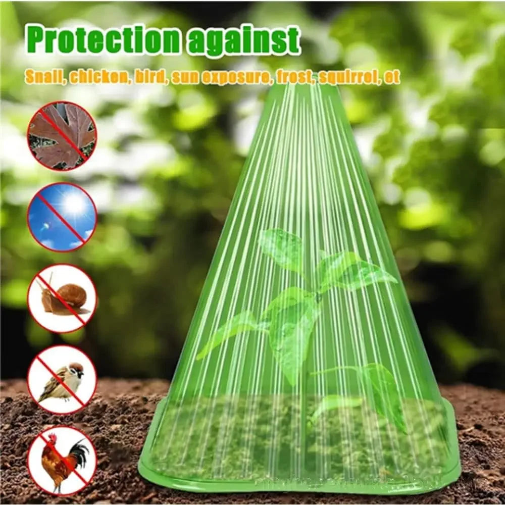cache plantes vert transparent rayures conique fixé sol protection plantes gel oiseaux escargots