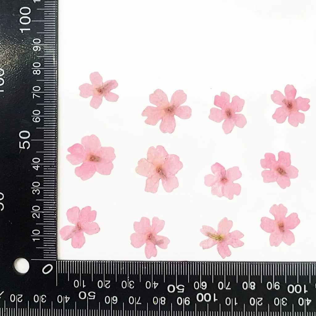 fleurs séchées violet rose blanc décor maison DIY craft nail art maquillage artisanales kit