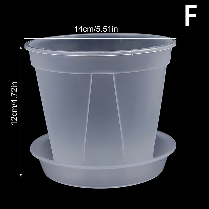 pot fleurs transparent moderne plateau dimension 10cm 12cm 14cm plastique