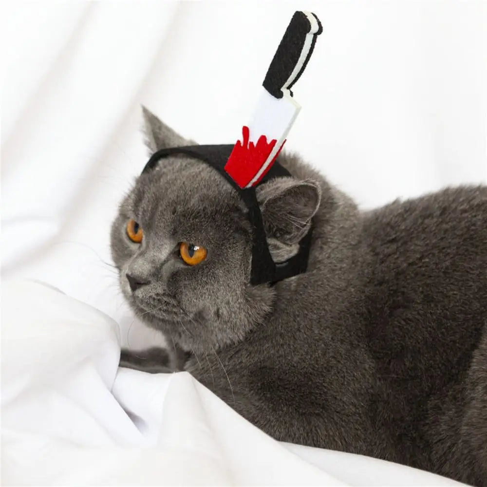 accessoire animaux compagnie bandeau élastique ajustable noir rouge fête horreur adjustable