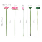 fleur artificielle lotus tige longue décoration intérieure vert rose blanc naturel détaillé Pods Feuilles