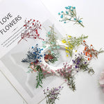 fleurs séchées multicolores petite taille décoration maison anniversaire baby shower naturelle rustique
