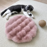 coussin chat gris clair doux peluche lavable moderne 30cm beige rose pale