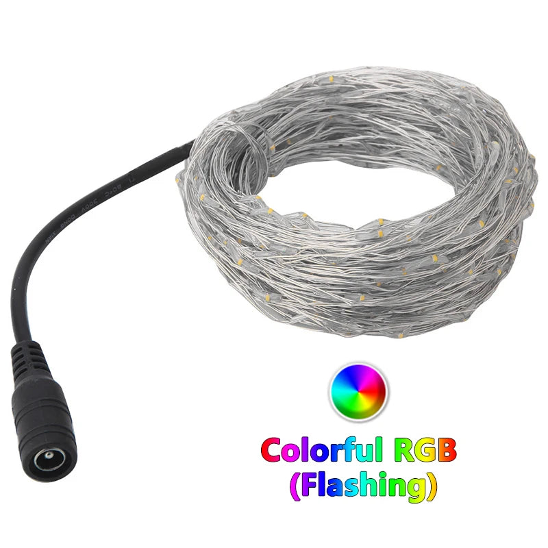 Guirlande lumineuse LED fil cuivre 12V multicolore 5M 10M 50 100 LEDs moderne