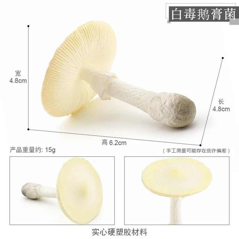 miniatures champignons réalistes photographie accessoires gris rouge blanc marron opaques pastoralesextérieur