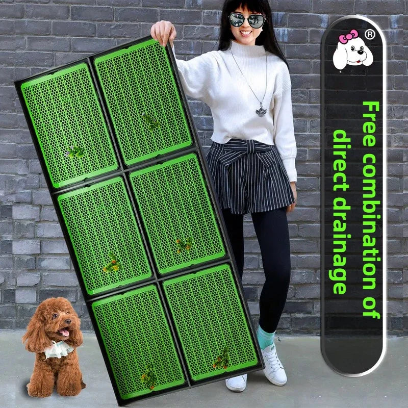 bac urine chien vert noir drainage moderne pompe vidange