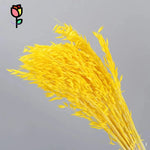 décoration intérieure plumes artificielles violet vert blanc orange jaune rose pâle naturel boho anniversaire