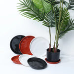 assiettes plantes noires rouges blanches modernes 10 cm