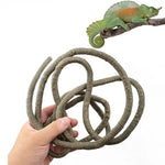 décoration terrarium naturelle corde flexible marron clair texture rugueuse imitation racines 3mètres fixations