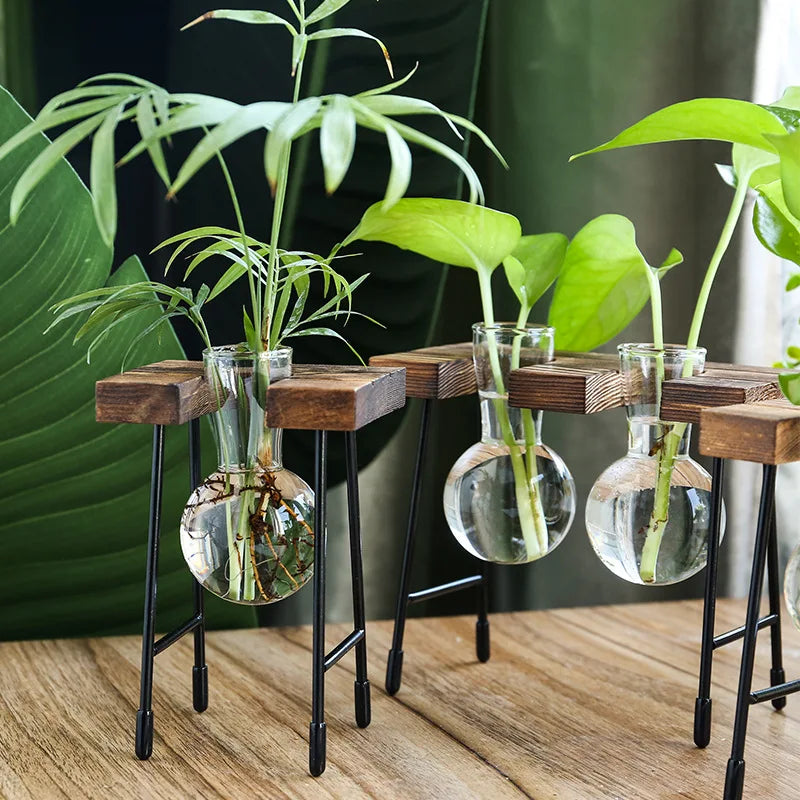 vase verre transparent support bois industriel moderne plante hydroponique décoration intérieure minimaliste