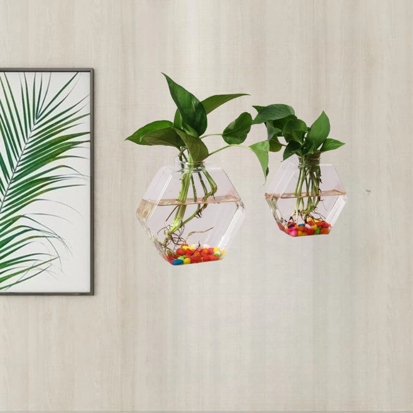 vase mural hexagonal transparent plantes aquatiques moderne décoration murale fixations métalliques éléments décoratifs multicolores