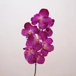 Décoration intérieure orchidée artificielle latex violette rose blanche naturelle têtes