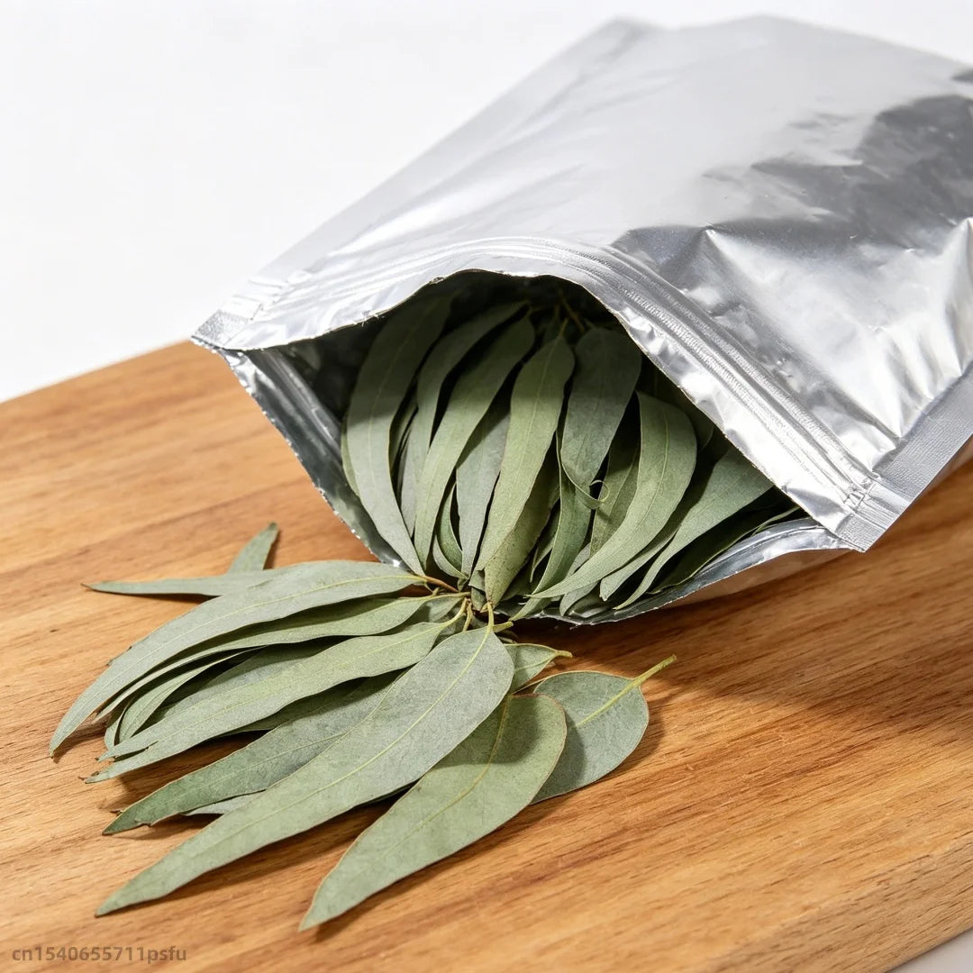 feuilles eucalyptus sèches vert clair decoration mariage intérieur parfumées naturelles rustiques 100g 200g 400g