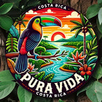 plaque métallique ronde illustration toucan paysage tropical coucher soleil fleurs exotiques multicolore rouge jaune