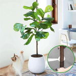 grille pot plante couverture protection sol prévention chat élastique fixe plante zz agrume ficus