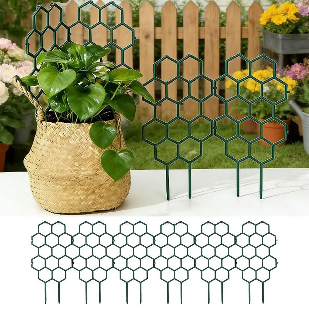 grille plantes hexagonale vert foncé moderne fixation jardin plastique