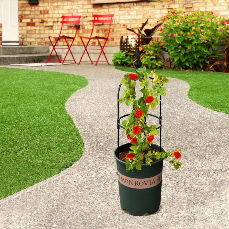 support plante grimpante noir structure métallique cercles horizontaux classiqueextérieurintérieur floral decoration