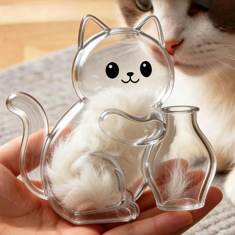 boîtes rangement aimantées transparentes forme chat kawaii poils masse opaque vase decoratif mignon