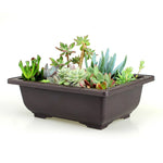 pot plantes rectangulaire moderne marron foncé grille drainage support base plastique